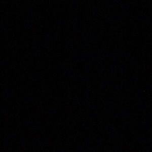 Meet your Posher, Julian